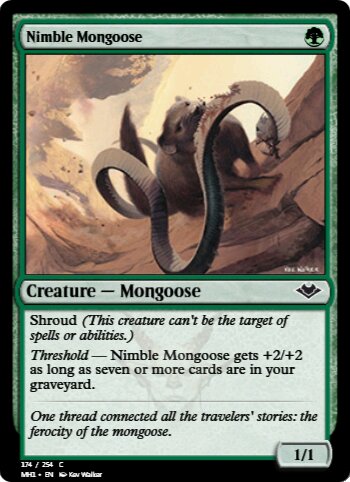 nimble mongoose
